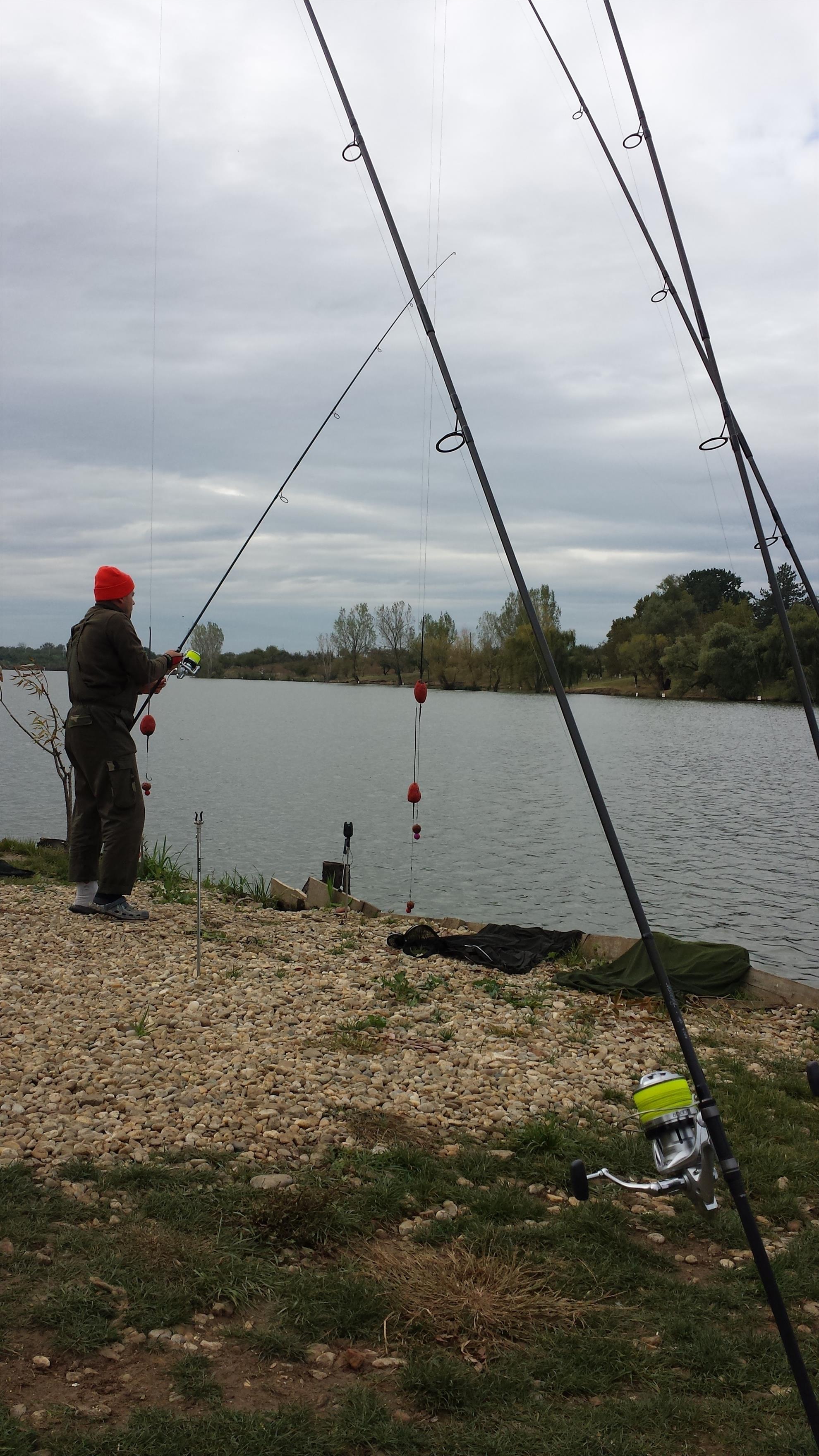 Hermes Peris 27 - 28 septembrie 2014 - 201409281014414.jpg